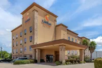 Comfort Suites Buda - Austin South - Lemmikkieläimet sallittu