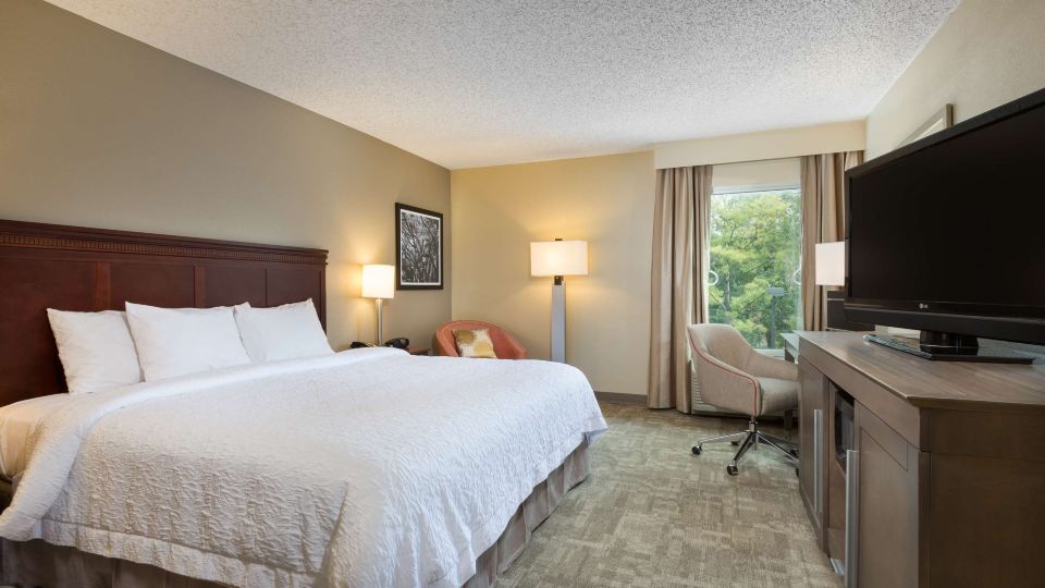 Hampton Inn Houston-Near the Galleria