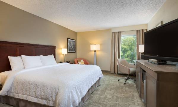 Hampton Inn Houston-Near the Galleria
