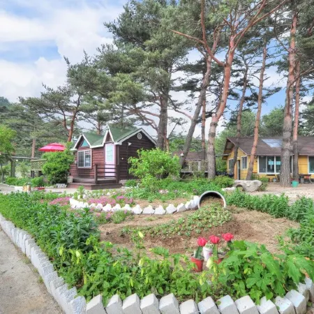 Inje Seonyeorang Baekdamirang Pension