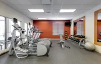 Hilton Garden Inn Naperville/Warrenville - Gym