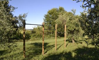 Agriturismo Forestale Luti