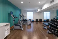 Holiday Inn Express & Suites ARLINGTON (I-20-PARKS MALL) by IHG - Gym