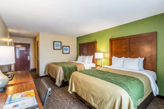 Comfort Inn & Suites Panama City North