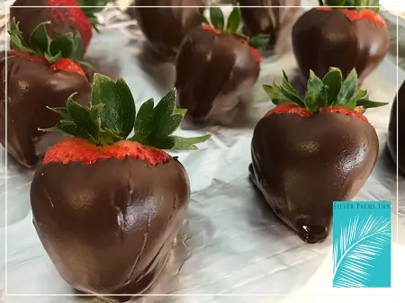 Silver Palms Inn Отели в г. Ки-Уэст