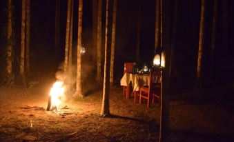 Bowfin Resort