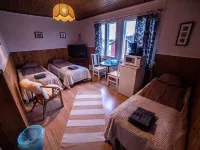 Arctic Guesthouse & Igloos Hotels in Ranua