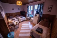 Arctic Guesthouse & Igloos Hotels in Ranua