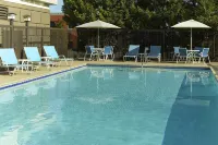 Four Points by Sheraton Nashville Airport - Uima-altaat