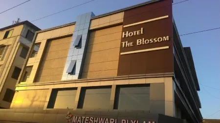 Hotel the Blossom Отели в г. Вапи
