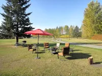 Airport Inn - Pet Friendly
