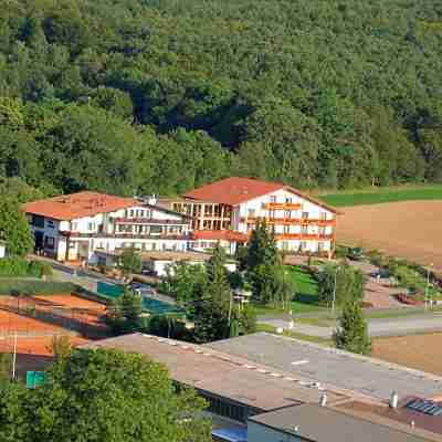 Villa Waldeck Hotel Exterior