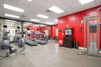 Hilton Garden Inn Salt Lake City/Layton - Gym