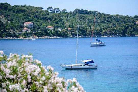 Lopud Sunset Apartment 대표 이미지