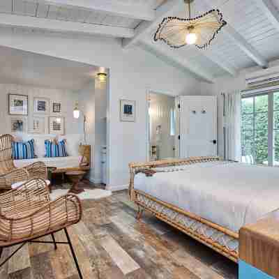 Dive Palm Springs Rooms