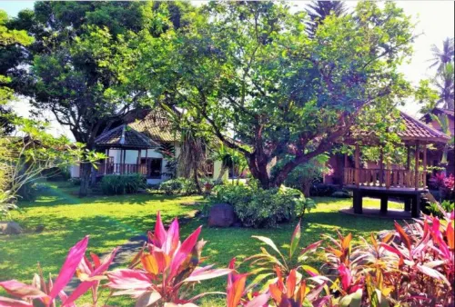 Minak Jinggo Hotel Hotels in Genteng