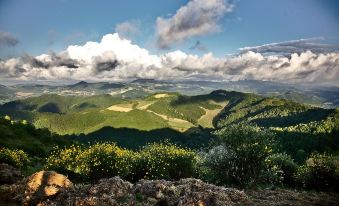 Agriturismo Il Pagliaio