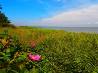 "Vivan" - 3.8km from the Sea
