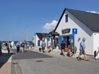 "Eroll" - 1.8km from the Sea