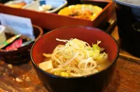 Kawaguchi Onsen Ousanso Hotels in Misato