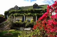 Leeuwenbosch Country House - Amakhala Game Reserve - Biệt thự