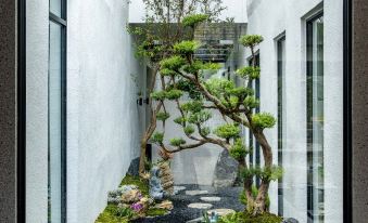 Foshan huadli