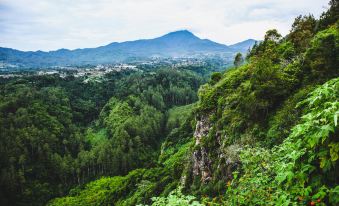 Roemah Renjana Bandung