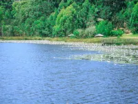 Harnham Mountain Lodge Hotels in Far North