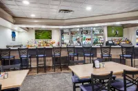 Wingate by Wyndham Detroit Metro Airport - bar