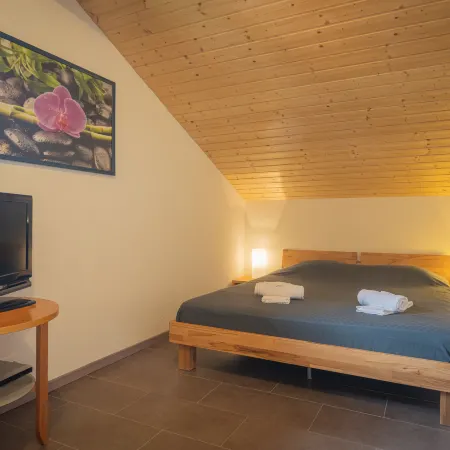 Ambigu Hotels in Chamoson