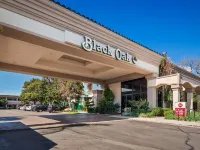 Best Western Plus Black Oak Hotele w: Paso Robles
