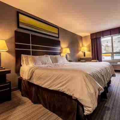 Holiday Inn Express Golden-Kicking Horse Rooms