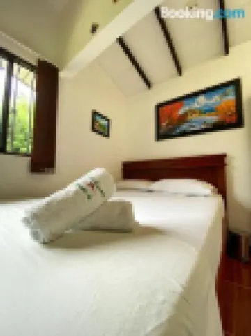 パライソ ココラ