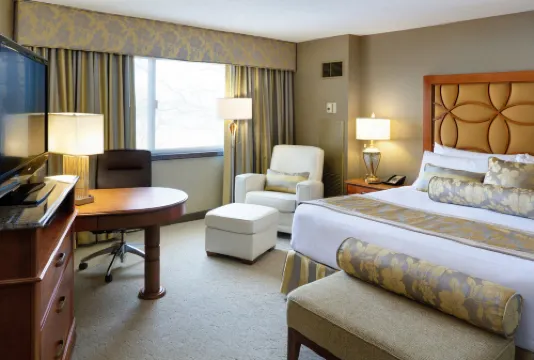 크라운 플라자 호텔 미니애폴리스 웨스트 플리머스