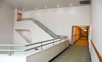 Cedars Inn