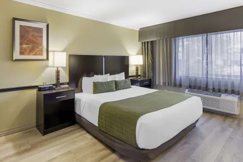 Best Western Canoga Park Motor Inn Hotels in Reseda
