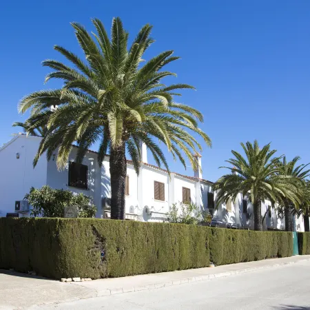 El Palmar