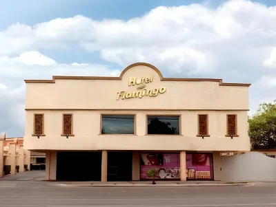 Hotel Flamingo Hotels near Deportes Ibarra