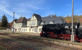 Cozy Holiday Home in Elend Harz with Private Sauna