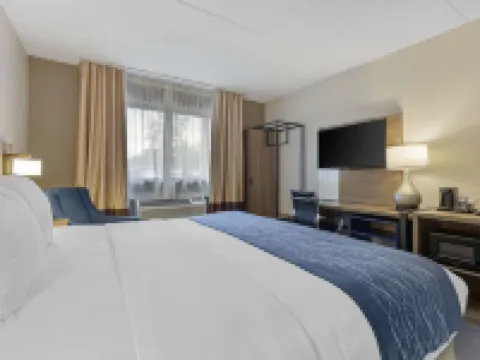 Comfort Inn Herndon-Reston Hotels in Herndon
