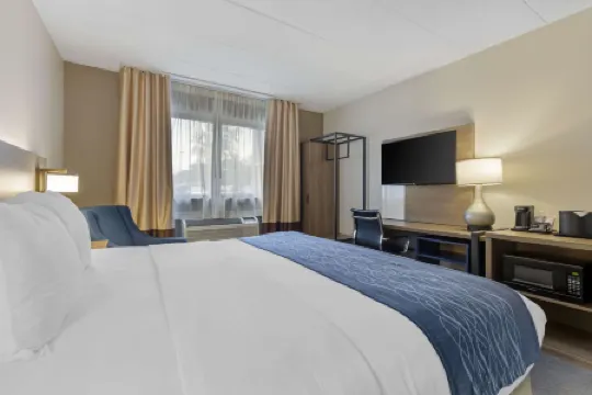 Comfort Inn Herndon-Reston