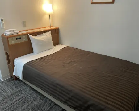 ロイヤルイン ステーションプラザ 出水のホテル