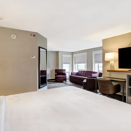 Holiday Inn OTTAWA DWTN - PARLIAMENT HILL by IHG