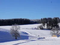 Apartment with fireplace on the Rennsteig in the Thuringian Forest Hotels in Friedrichroda