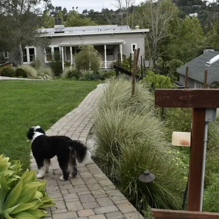 Lovely, Large 1 Br Apt in Sunny Central Marin! On 2 acres of gardens & woodlands