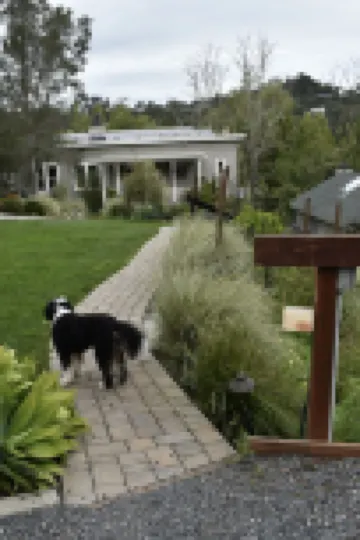 Lovely, Large 1 Br Apt in Sunny Central Marin! On 2 acres of gardens & woodlands