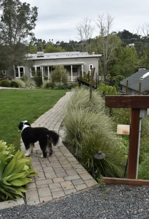 Lovely, Large 1 Br Apt in Sunny Central Marin! On 2 acres of gardens & woodlands