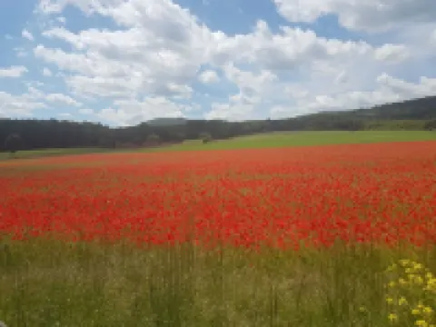 Apartment directly on Elsbach
