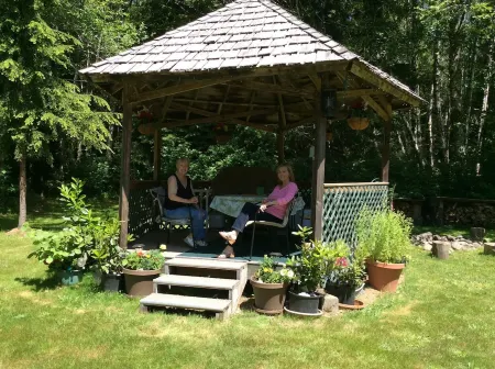 Private,Quiet,cabin,on 27 acres,w/ trails. near the Hoh Rain Forest Nat' l Park. Отели рядом с достопримечательностью «Hoh Rain Forest»