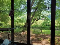 "Coop-Ahhh Cabana "Glammock" campsite near Dupont State Forest! Hotels in Crab Creek